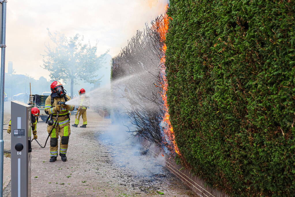 Onkruidbrander zet coniferenhaag in brand