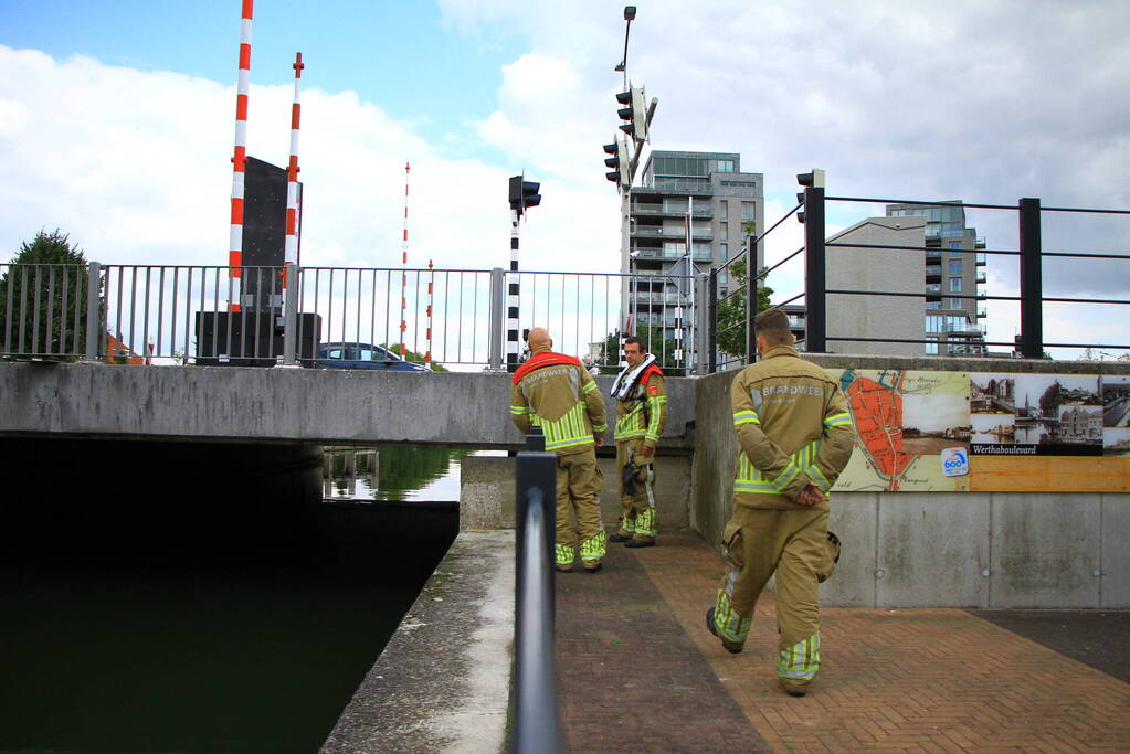 Kat kiest het hazenpad na reddingsactie