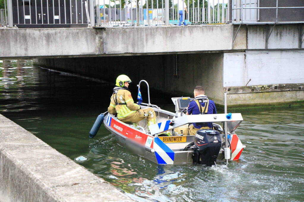 Kat kiest het hazenpad na reddingsactie