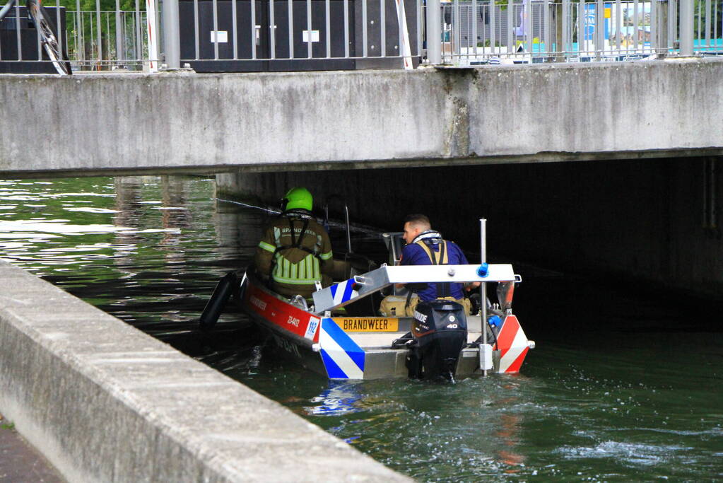 Kat kiest het hazenpad na reddingsactie