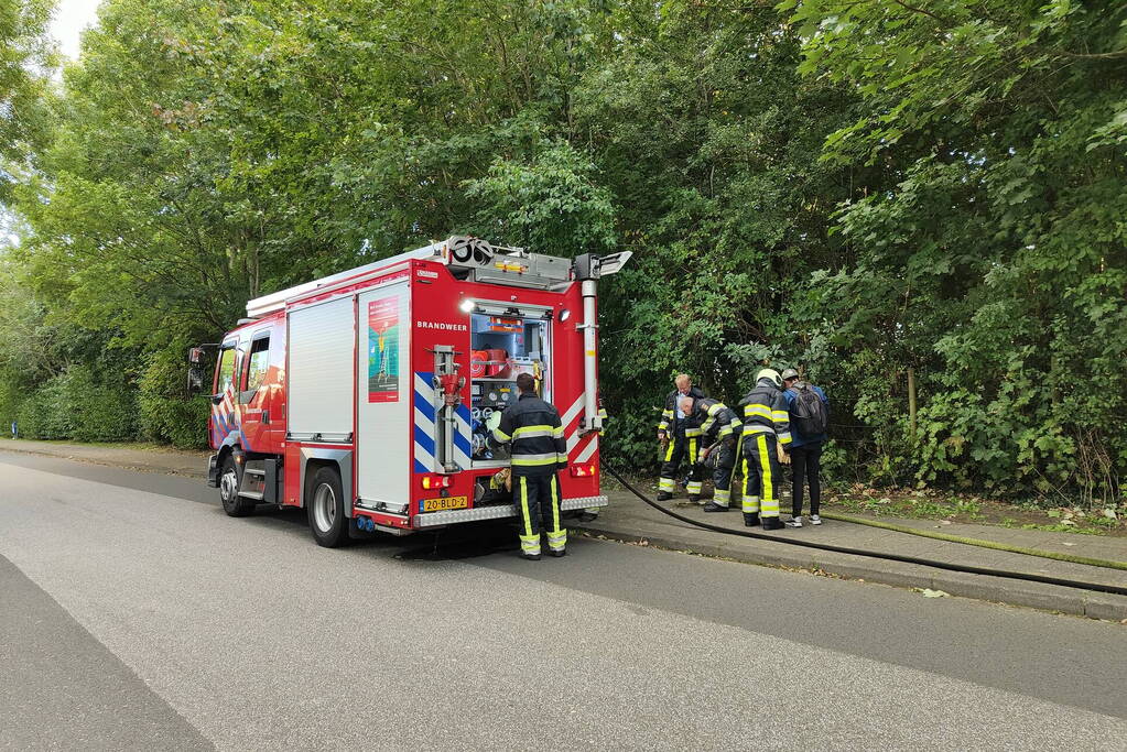 Houten bankje in bosjes afgebrand