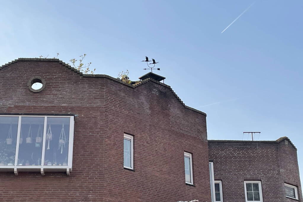 Schoorsteenbrand snel onder controle