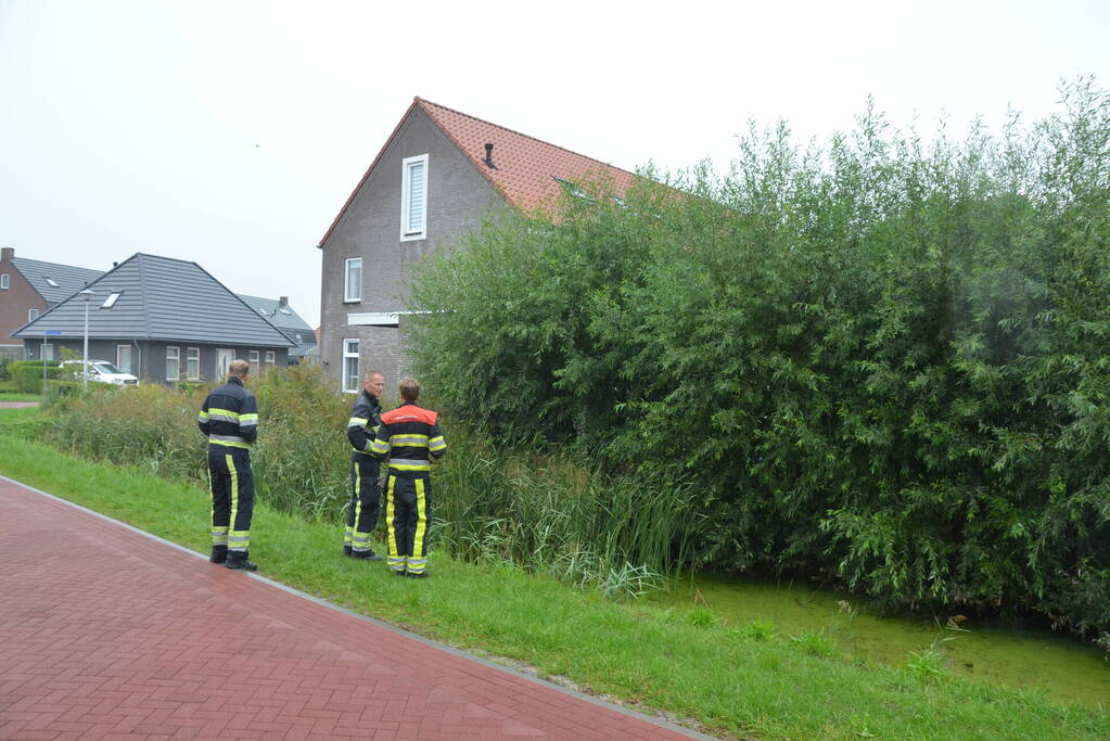 Kip te water gered door brandweerlieden