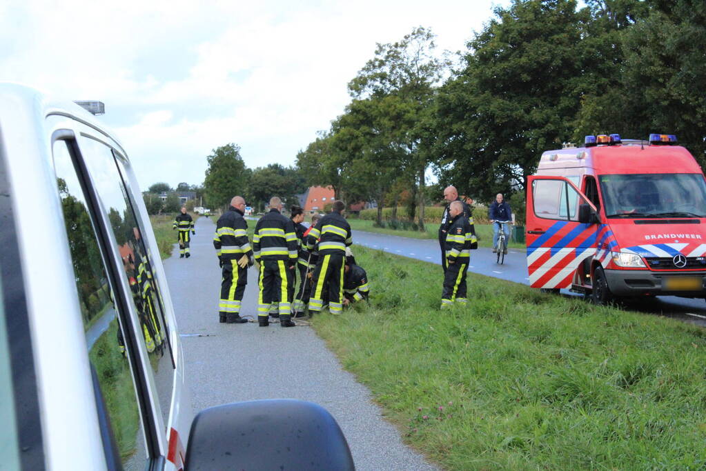 Hulpdiensten ingezet voor koe in de sloot