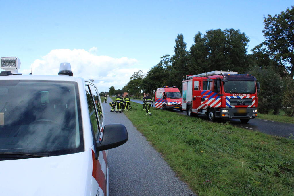 Hulpdiensten ingezet voor koe in de sloot