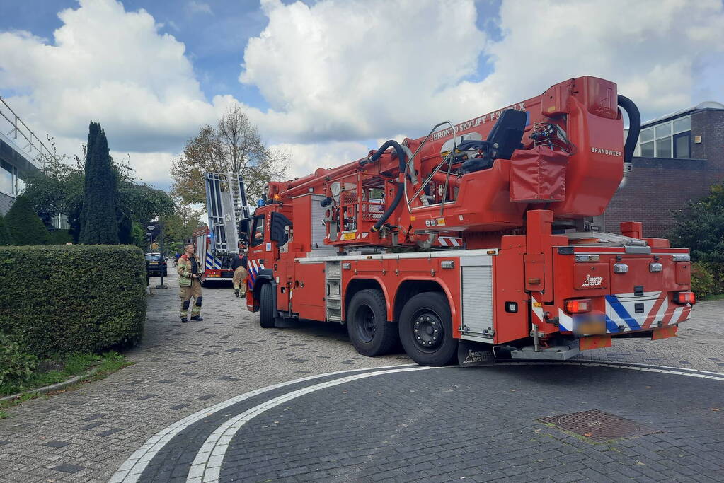 Man vast in boom tijden snoeiwerkzaamheden