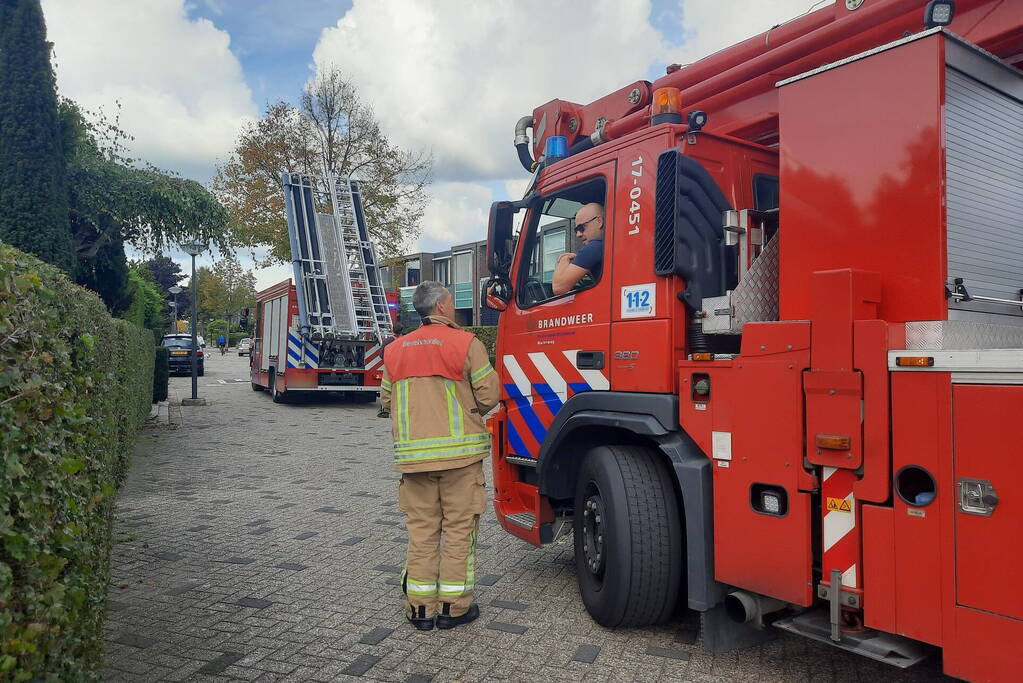 Man vast in boom tijden snoeiwerkzaamheden
