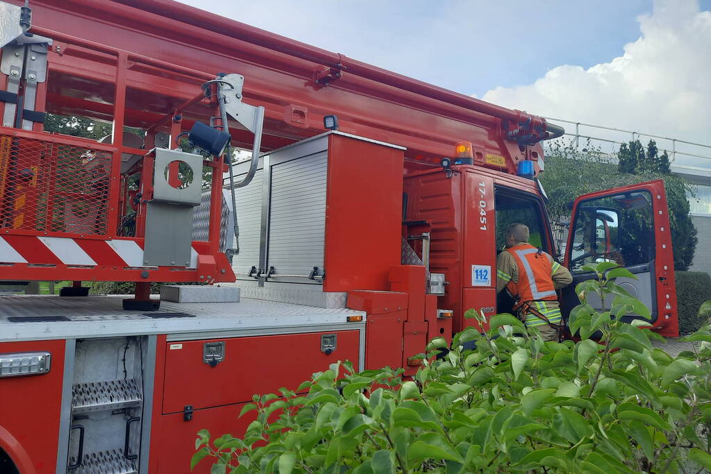 Man vast in boom tijden snoeiwerkzaamheden