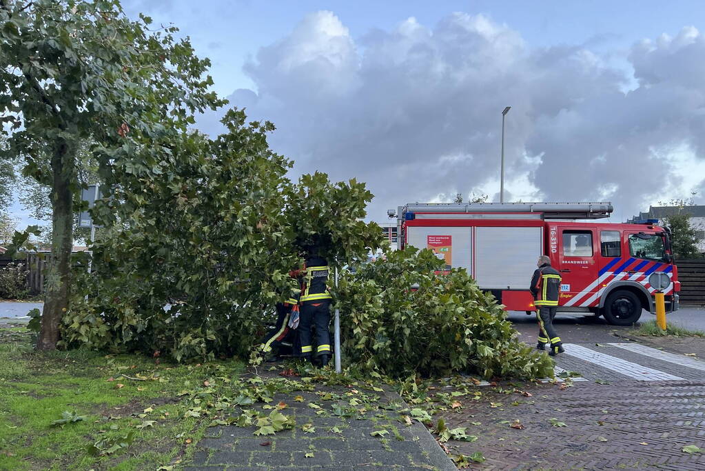 Boom verspert trottoir en straat