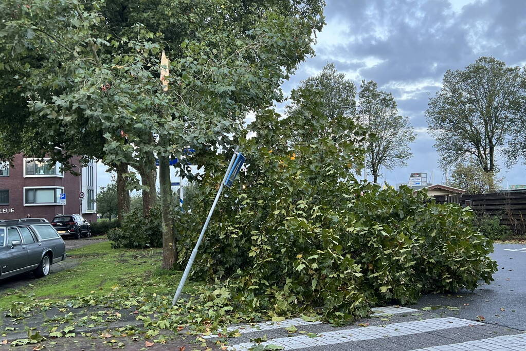 Boom verspert trottoir en straat