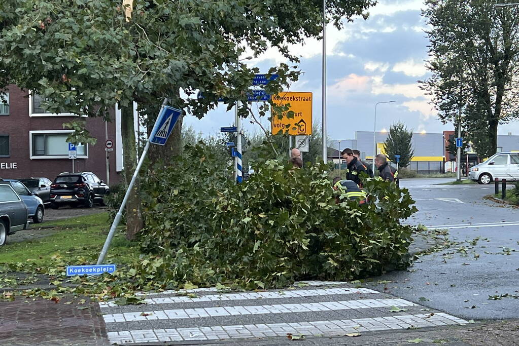 Boom verspert trottoir en straat