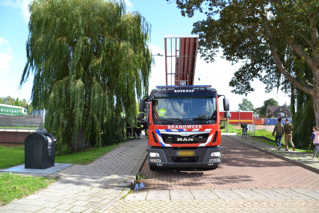 Brandweer haalt kat uit een boom