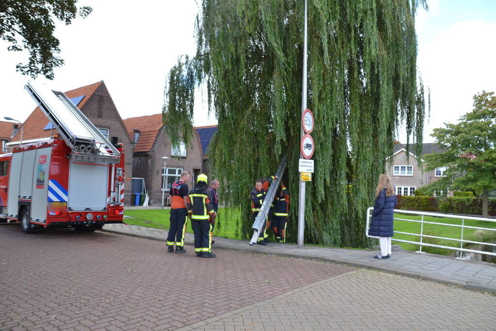 Brandweer haalt kat uit een boom