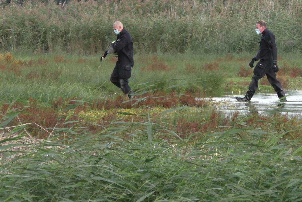 Ganzen met vogelgriep uit water gehaald