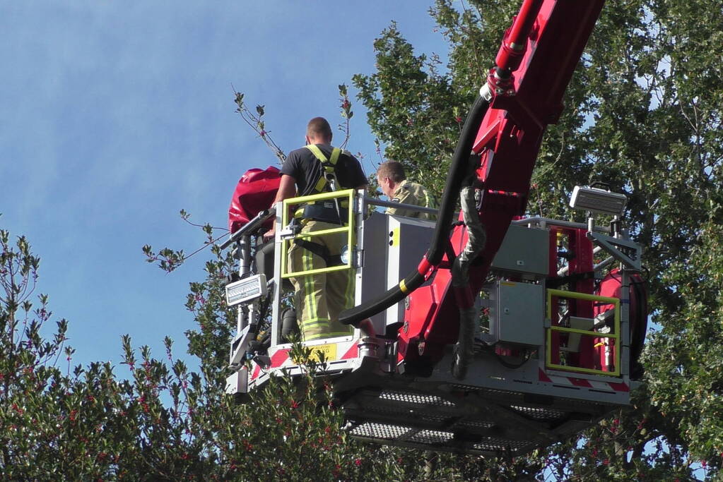 Persoon vast in top van boom