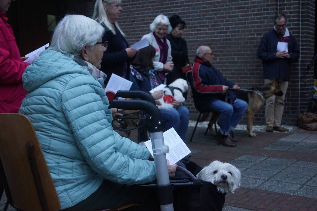 Huisdieren krijgen zegening op Dierendag