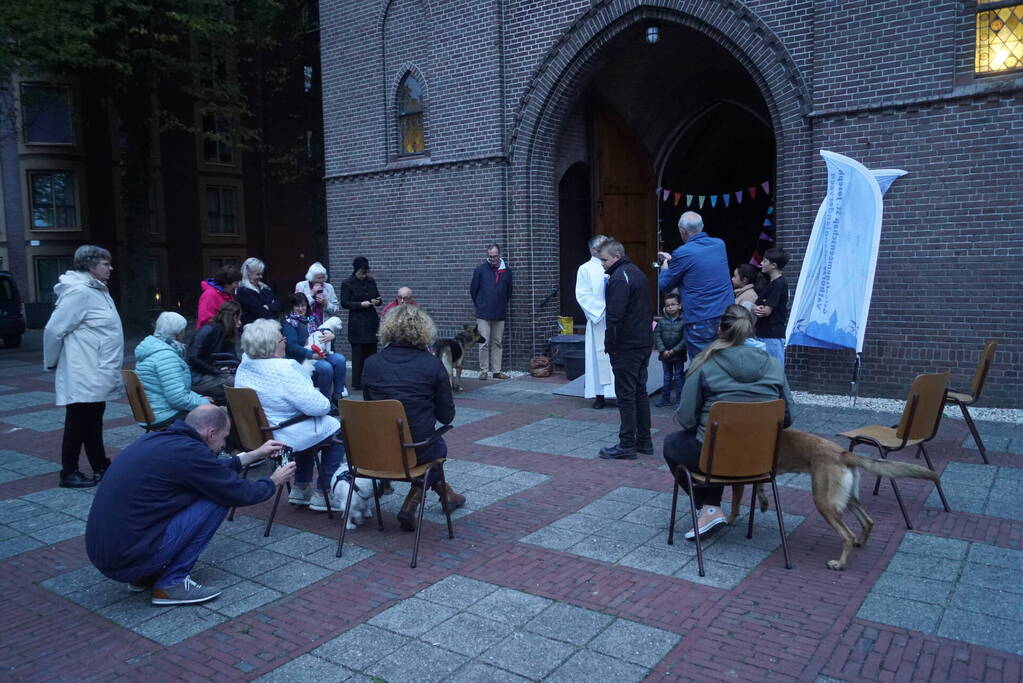 Huisdieren krijgen zegening op Dierendag
