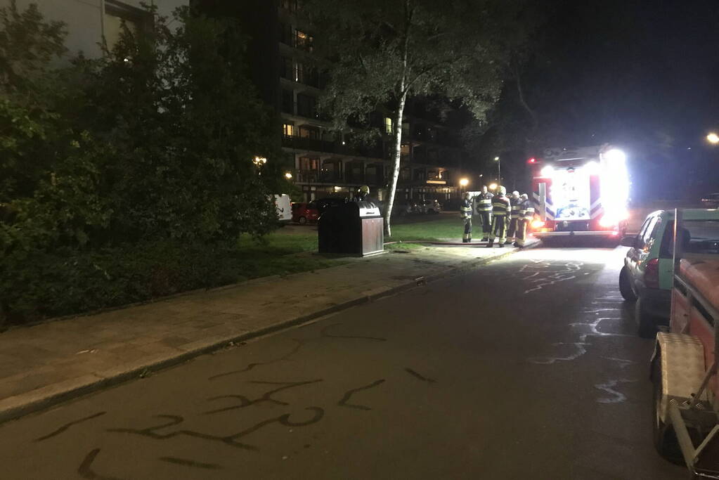 Papiercontainer in brand