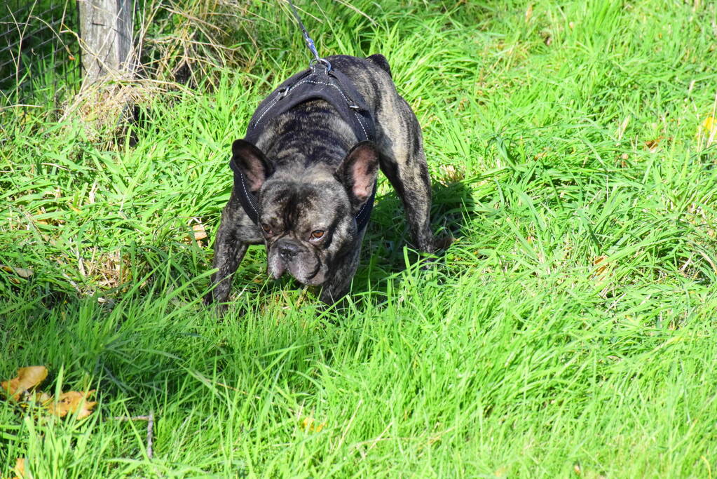 Camper belandt op zijkant