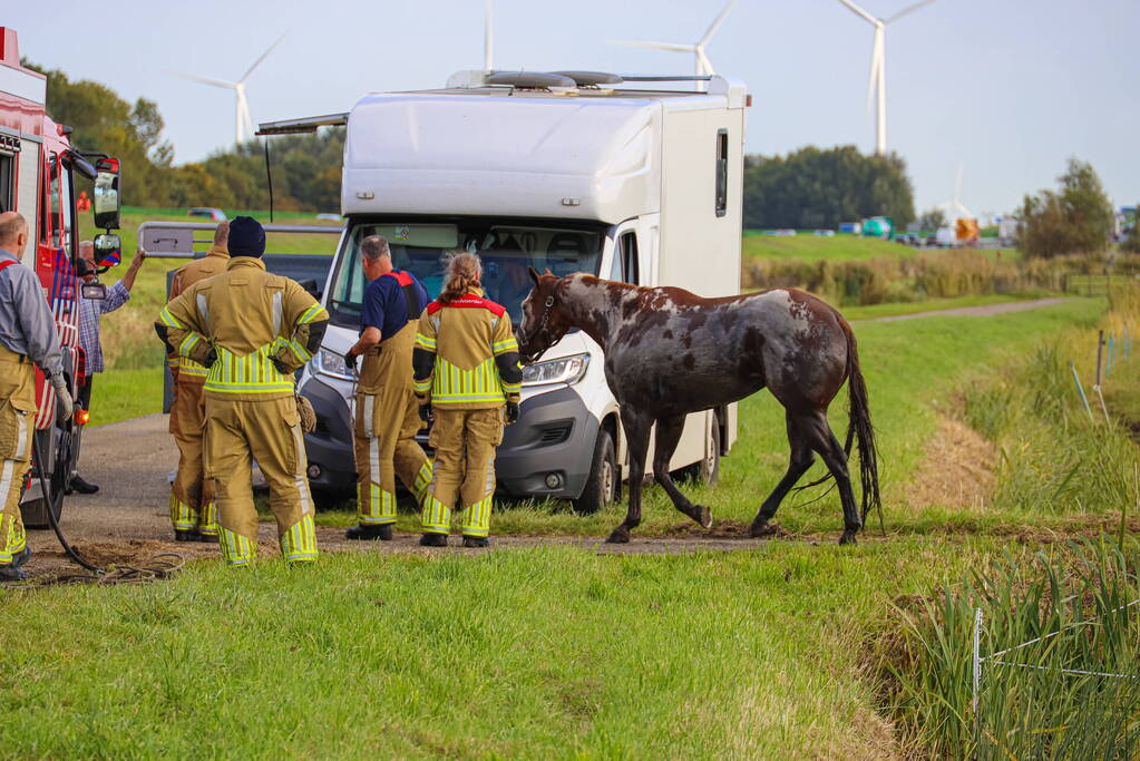 Paard uit sloot gered