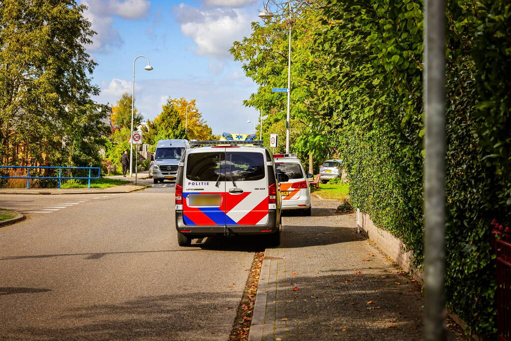 Persoon onwel tijdens snoeien van heg