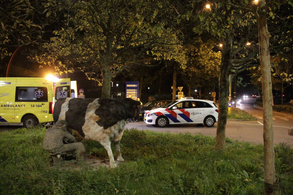 Fietser geschept bij oversteekplaats