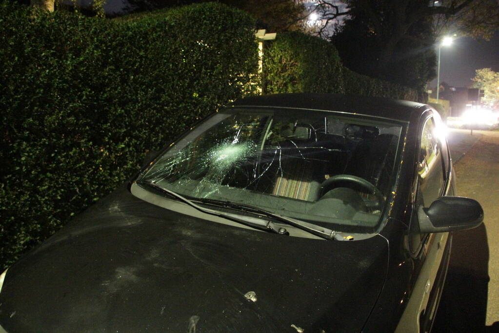 Fietser geschept bij oversteekplaats