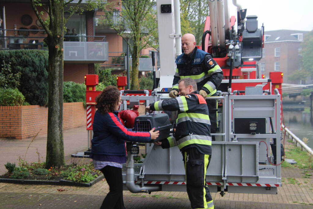 Kat Nala door brandweer uit boom gered