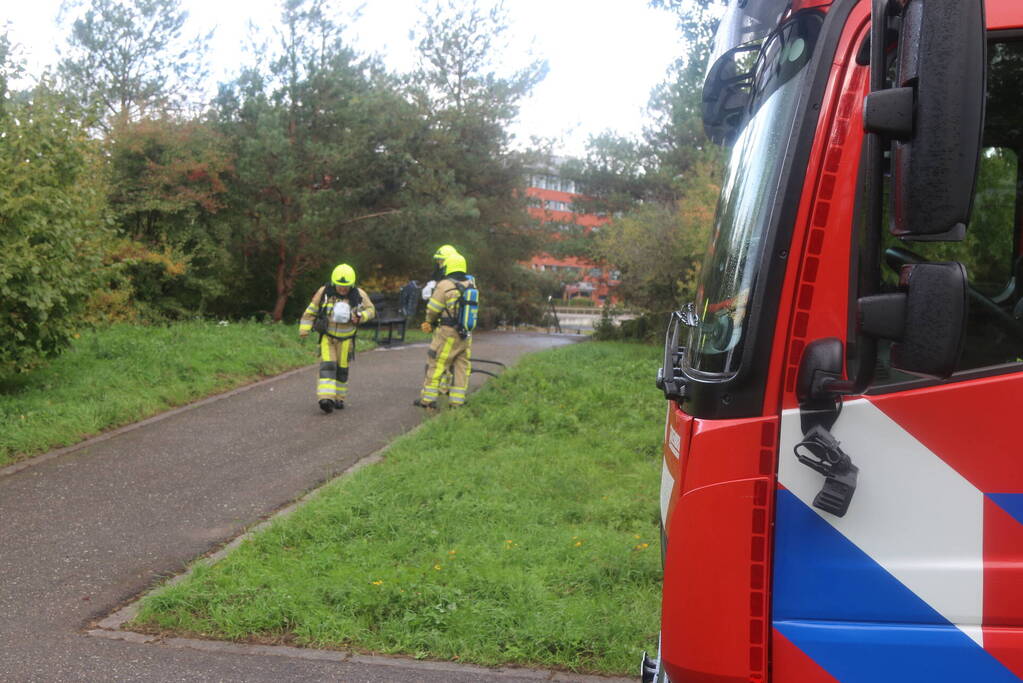 Houten bank afgebrand in park