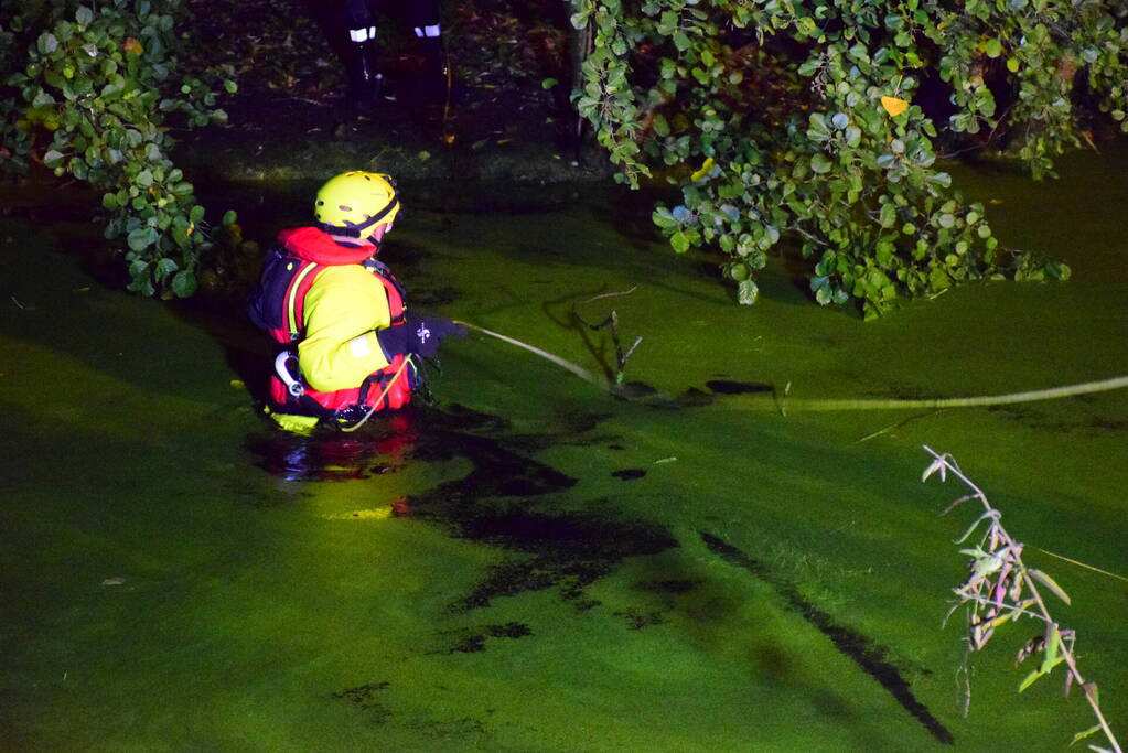 Vermiste hond van eiland gehaald door brandweer