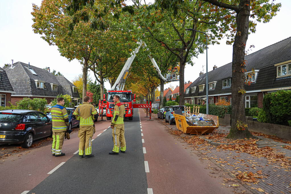 Weg afgesloten door gevaarlijk loshangende tak