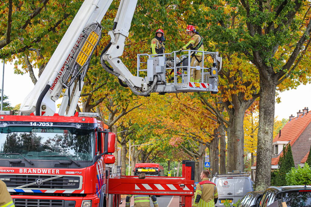 Weg afgesloten door gevaarlijk loshangende tak