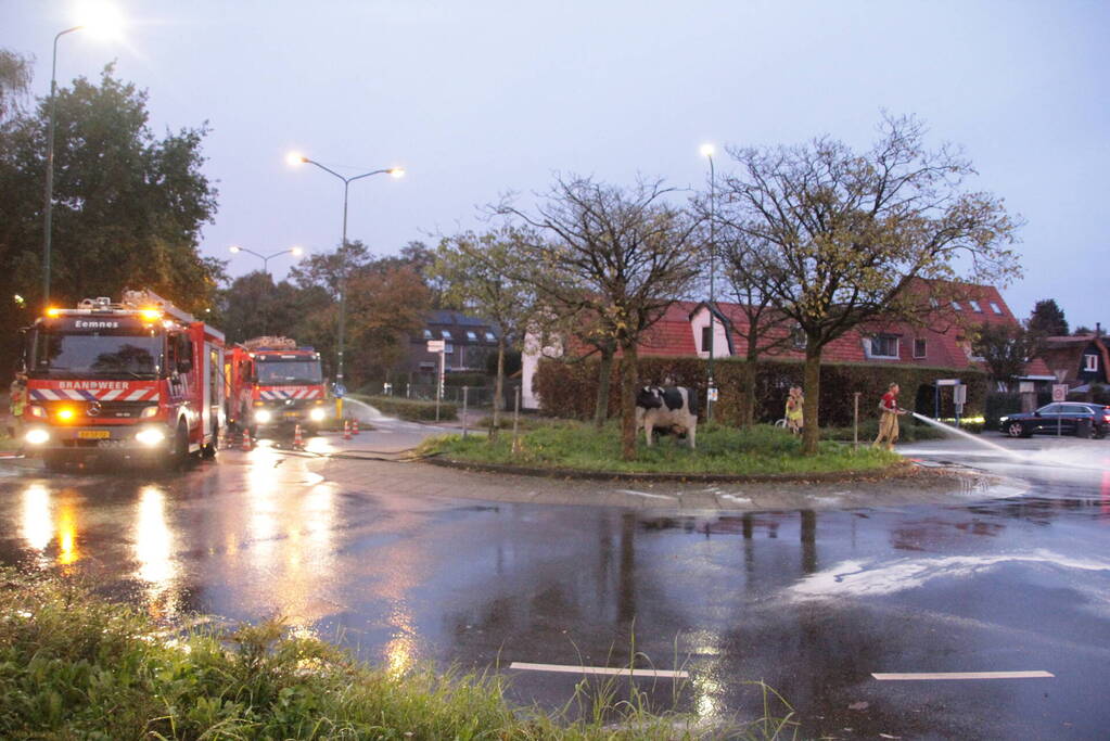 Wegdek spekglad door diesellekkage