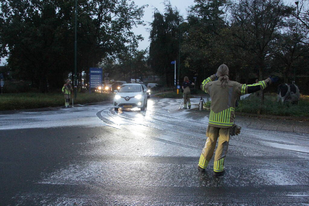 Wegdek spekglad door diesellekkage