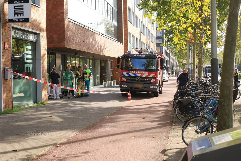 Aantal dieren overleden in dierenkliniek IJburg
