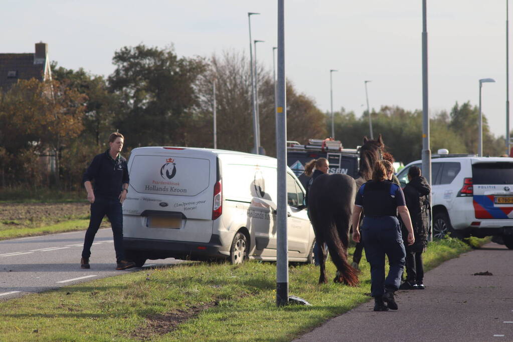 Zeer ernstig ongeval met paarden