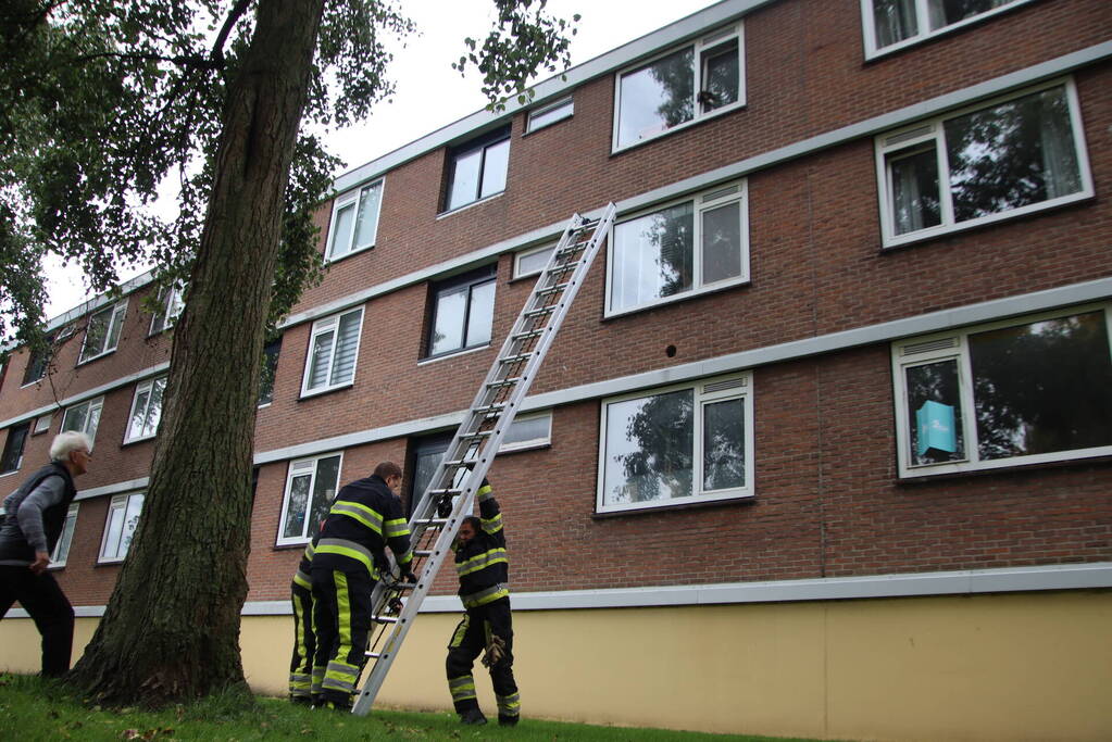 Kat bekneld tussen klapraam van woning