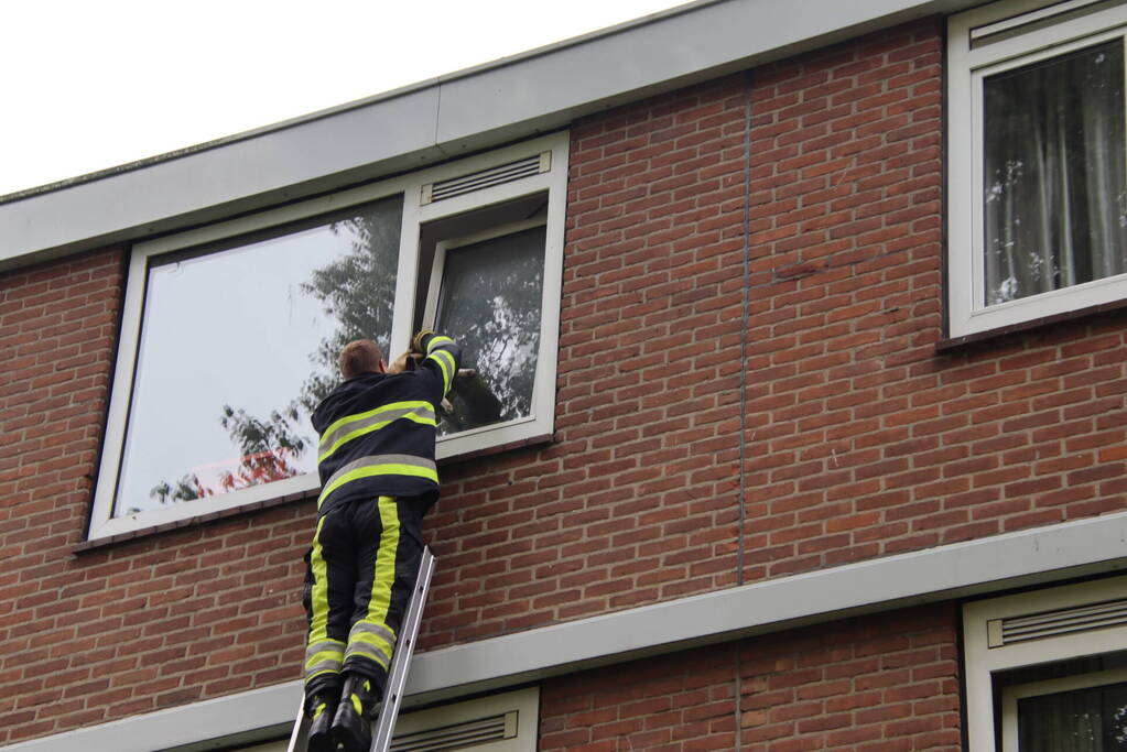 Kat bekneld tussen klapraam van woning