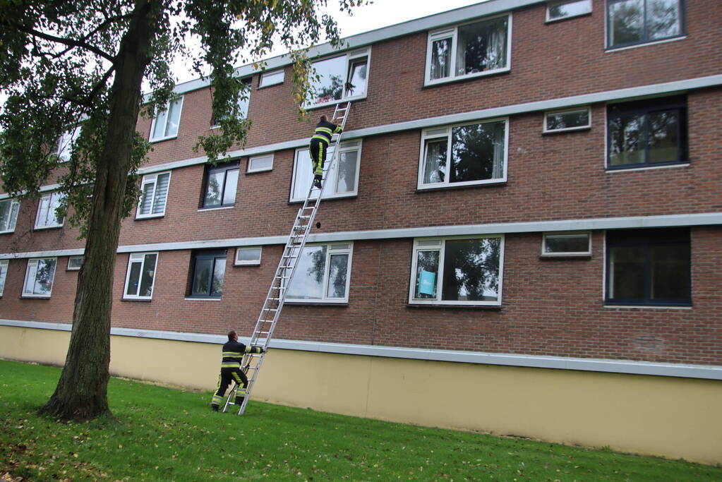 Kat bekneld tussen klapraam van woning