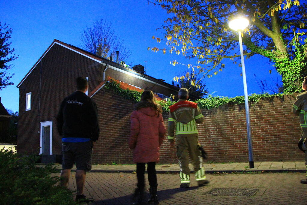 Brandweer ingezet voor kat op dak van woning