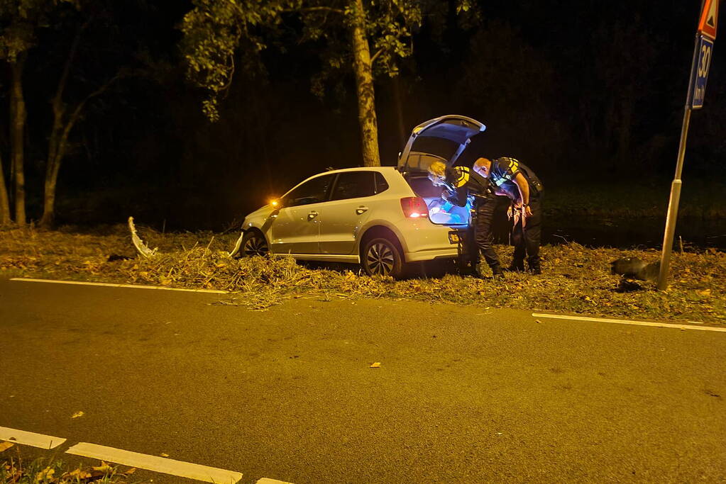 Automobilist vliegt uit de bocht en knalt tegen boom