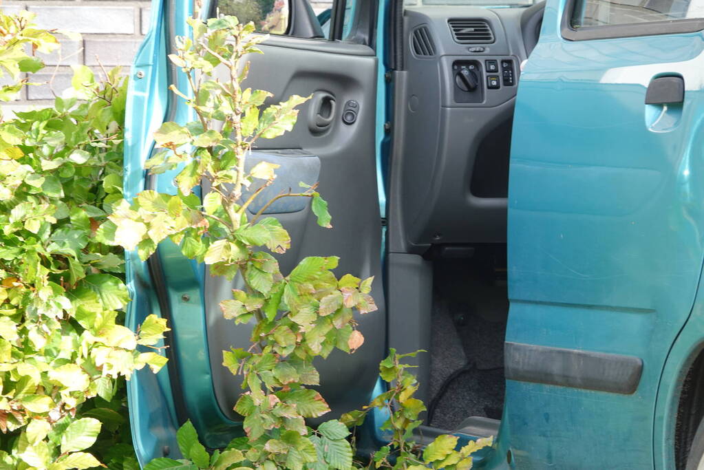 Automobilist eindigt tegen Aldi supermarkt