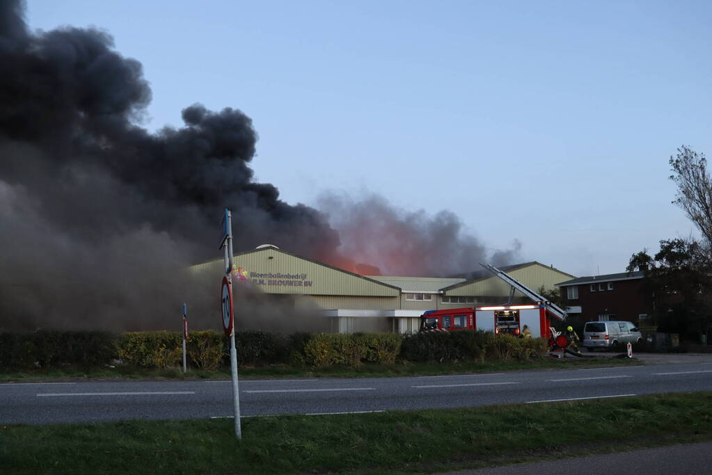 Enorme uitslaande brand bij bloembollenbedrijf