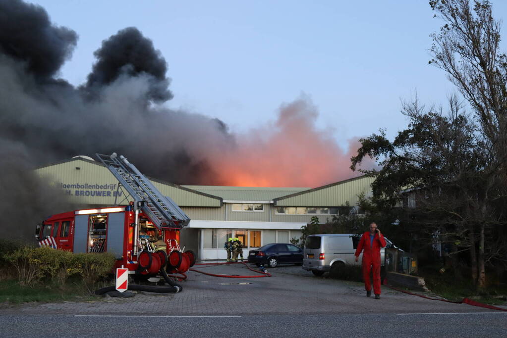 Enorme uitslaande brand bij bloembollenbedrijf