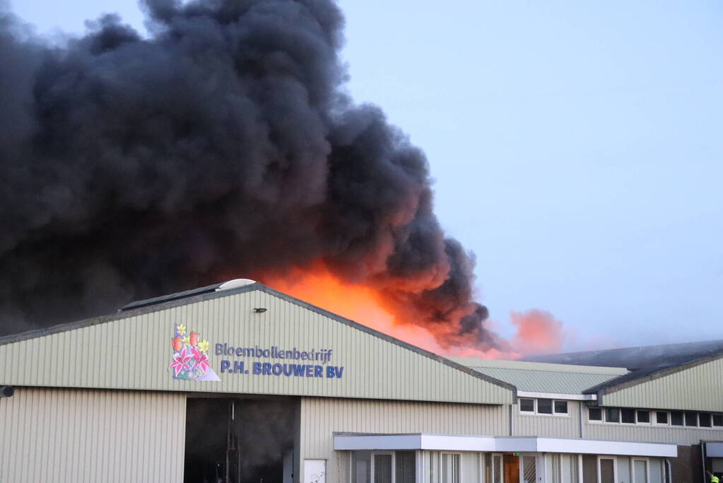 Enorme uitslaande brand bij bloembollenbedrijf