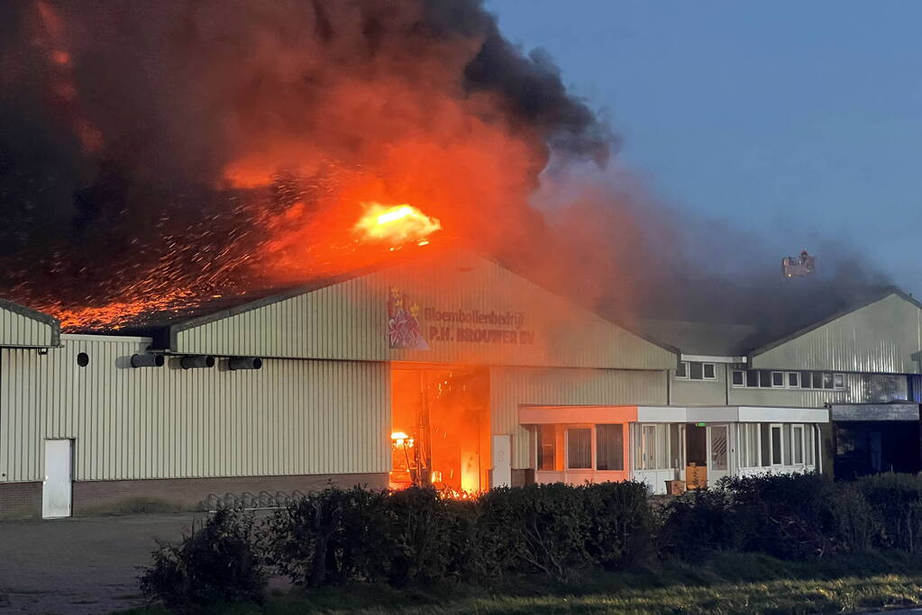 Enorme uitslaande brand bij bloembollenbedrijf