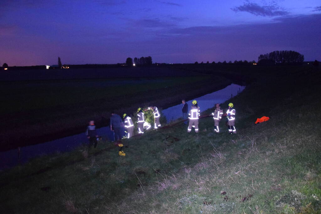 Brandweer redt paard uit een sloot