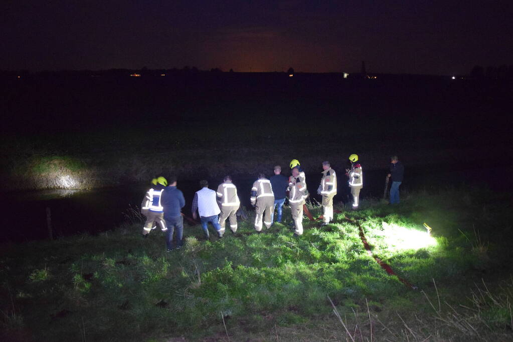 Brandweer redt paard uit een sloot
