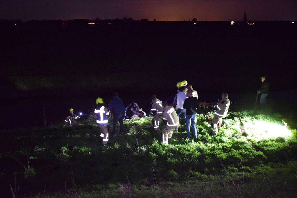 Brandweer redt paard uit een sloot