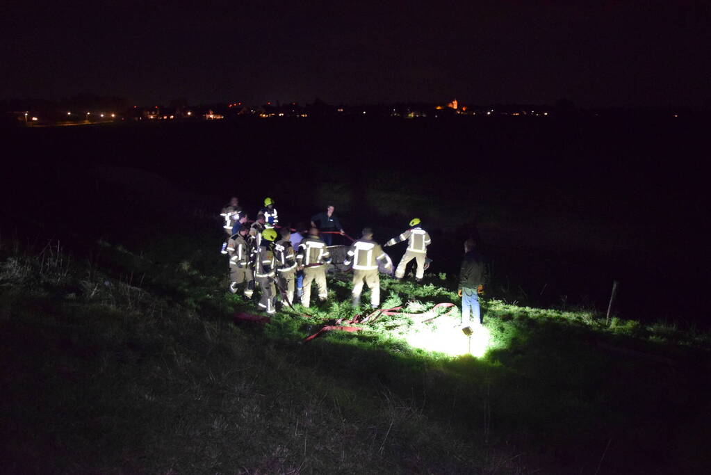 Brandweer redt paard uit een sloot